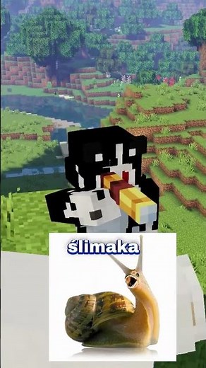 Escargot🥰 #minecraft #hosting #hostomi