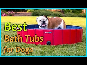 Before You Buy A Bath Tubs for Dogs, Watch this Video!