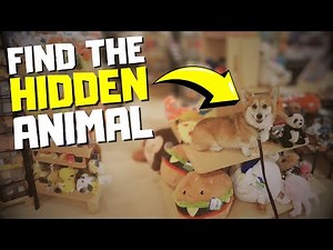 Find all the Hidden Animals - Quiz