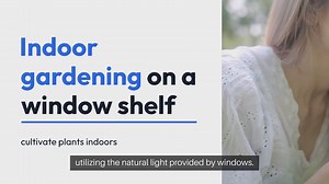 Indoor Gardening Window Shelf Plants