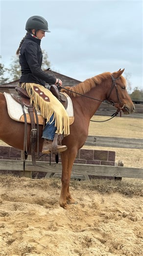 Katie Armstrong on Instagram: "After completing the fundamentals series, colts go through the hobbling series. Not only does safely teaching your horse to hobble have many training benefits, but most importantly, it has many life saving benefits for your horse. In this video we are seeing the last stage of hobbling (front hobbling while tied), and also the 3rd type of hobbles used in the program (in order). Hobbling is not something you just “throw at the horse and hope for the best”. This is a
