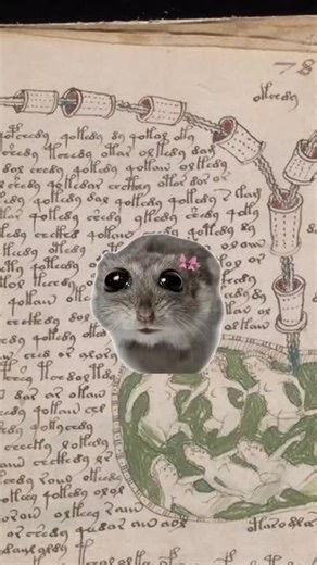 Hammy on Instagram: "Hammy describes the Voynach Manuscript that has been deciphered for centuries! 📖🎀! #discover #fyp #education #manuscript #hamster"