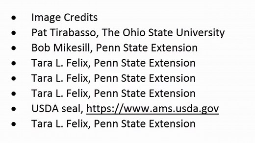 Grass Fed vs. Grain Fed Beef