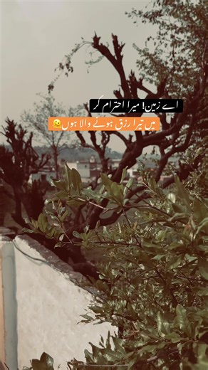 Respect the Earth: A Smoky Lesson