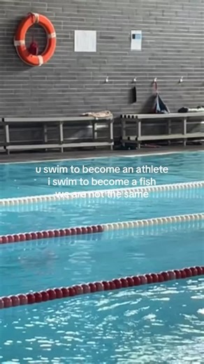Swim.com on Instagram: "Watch the fins grow 🐠🐠🐠 📸 siiamiiia • • • • • #swimming #swim #swimmer #swimmingpool #triathlon #pool #swimbikerun #triathlete #swimteam #swimmers #swimlife #swimcoach #swimsuit #swimmerslife #swimpractice #swimmemes #swimtraining #swimmeet #swimmerproblems #backstroke #freestyle #swimclub #swimmingmemes #breaststroke #butterfly #competitiveswimming #swimminglife #swimfast #competitiveswimmer #swimdotcom"
