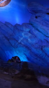 135K views · 795 reactions | I love this little ride. Mad underrated  | Coaster Kings | Facebook