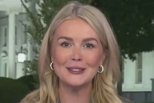 Fox News viewers demand psychologists study Karoline Leavitt after 'insane' interview