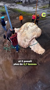 143K views · 2.6K reactions | LE POISSON-LUNE | César - Culture G | Facebook