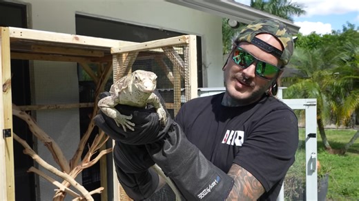 The scrap wood build that turned into a serious reptile habitat upgrade