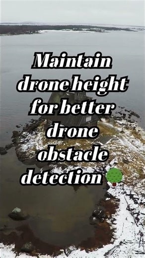 Maintain Drone Height for Better Obstacle Detection 🚁🌳