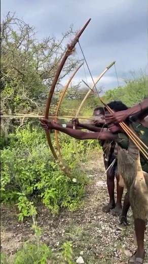 Cheetah’s Sudden Call in the African Bush | Hunters Take the Perfect Shot | Tribal Life