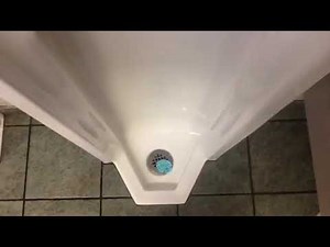 Menards restroom full shoot