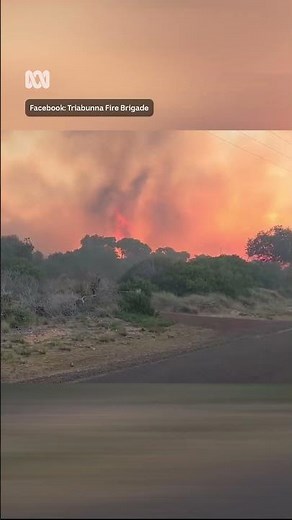 Dolphin Sands bushfire footage shows conditions firefighters are dealing with | ABC NEWS