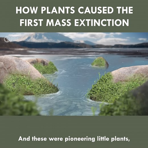 221K views · 3.8K reactions | How Plants Caused The First Mass Extinction | Eons • PBS | Facebook