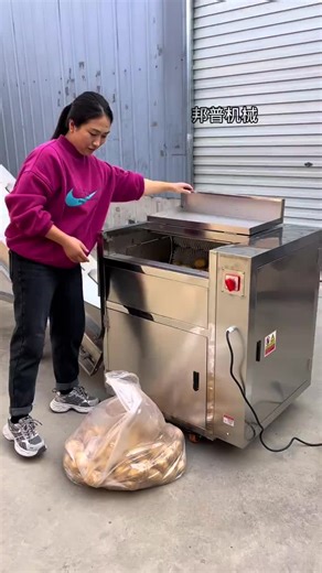 蔬菜清洗机#tiktok #食品机械 | Vegetable Wash Machine