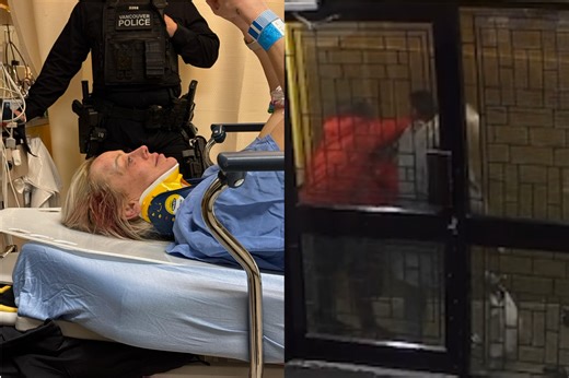 Woman and pet cat victims of brutal random attack in Chinatown | News