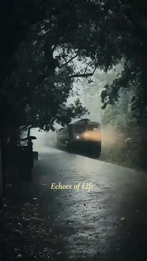 things you will not do in jannah | Echoes of Life