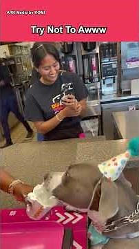 Try not to awww: cutest pets 🐾🥰