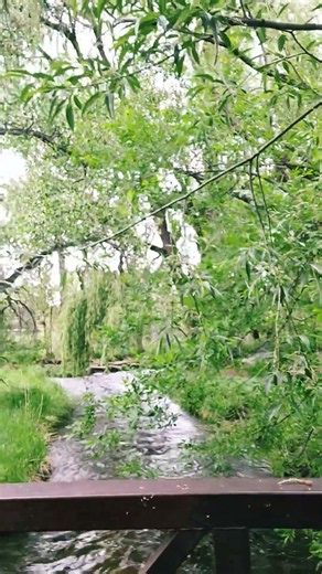 Tour of Fort Collins #nature