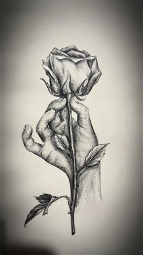 Hyper Realistic Rose Drawing 👉 This took me HOURS… was it worth it? #art