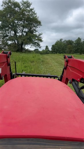 I really have way too much fun bush hogging. 🤣 #jokes | Rust Ridge Ranch L.L.C