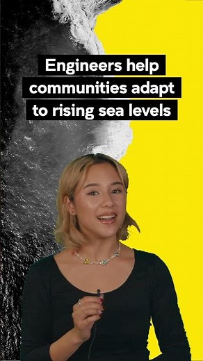 Build our coastal defences! 🪸