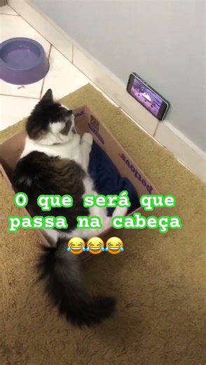 Confiar em Deus é a única opção 🙏