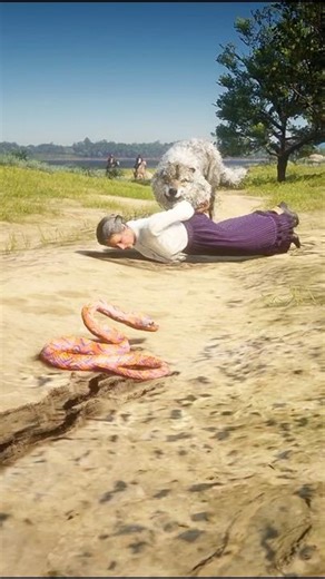 Survival Skills vid765