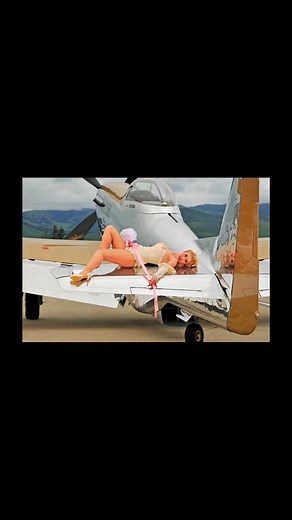 I did not participate in this shoot, but shut out to Samantha Dale for doing Pamela’s hair and makeup and assisting Christian on this one Vargas re creation! | Warbird Pinup Girls