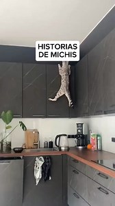 Todos tenemos esos michis extremos | Max Reader