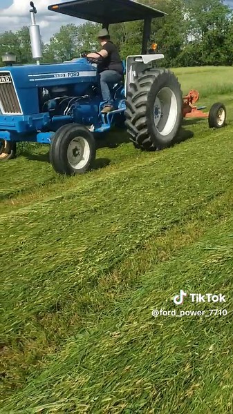 cutting hay#ford5600 #allischalmers #sicklebarmower