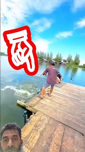 😱 Caught a big fish 😱 #shortsfeed #fishing #bigfishvideos