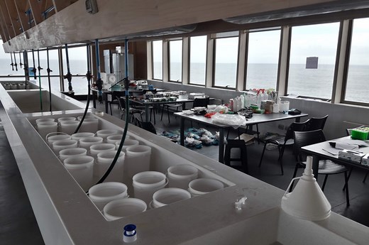 Biología Marina - Admisión y Vinculación Escolar