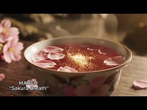 20 Minute of TEA TİME | Satisfying & Relaxing ASMR