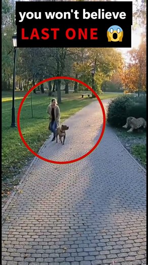 Wild Dog Saves Owner From a Dangerous Animal 😱 #wildanimals #animalencounters #animalshorts