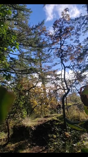 Deryck Hill on Reels