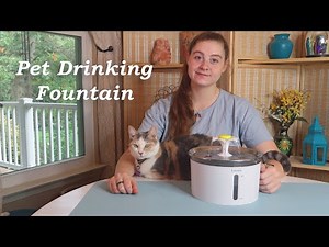 Loomla Cat Water Fountain💥 Automatic Pet Drinking Bowl👈