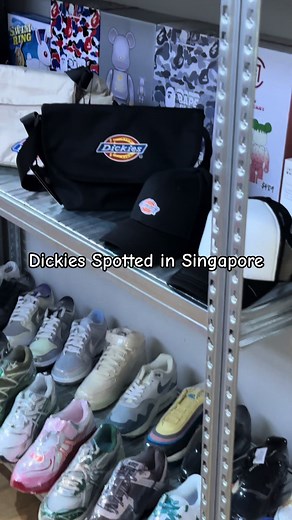 Shop the Latest Dickies Bags and Accessories at Snooze Store Singapore