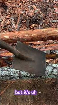 Peeling Fir logs with a spade! It’s much faster than a spokeshave or an axe by the way!