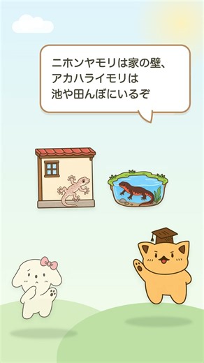 ヤモリとイモリの違いって何？