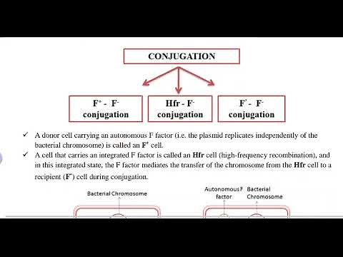 Determination of order of gene transfer during conjugation# interrupted mating technique