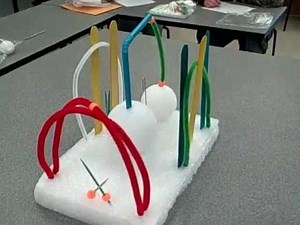 NC Science Olympiad: Write It, Do It - Writers