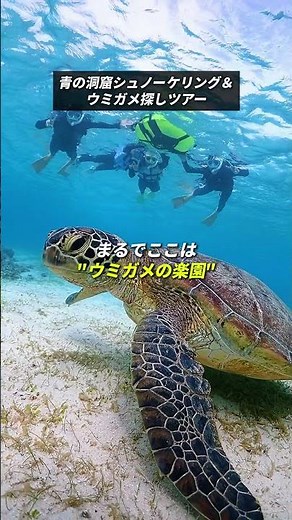青の洞窟ならお任せ✨初心者専門ダイビングサービスサンフィッシュ石垣島