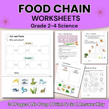 Food Chain Worksheets Activities | Producers Consumers Predators | Grade 2–4