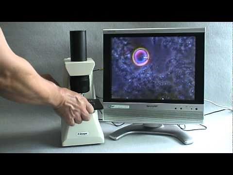 簡単に使えるP-Scope（ピースコープ）