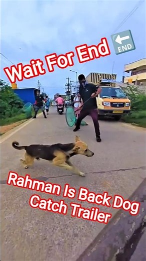 Raheman Double Dog Catch Trailer #dogwithpublicsafety #dog #pets #ytviral #shorts #rescue #animals