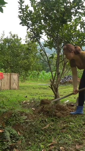 Harvesting Stones from Streams to Build Farm Gates