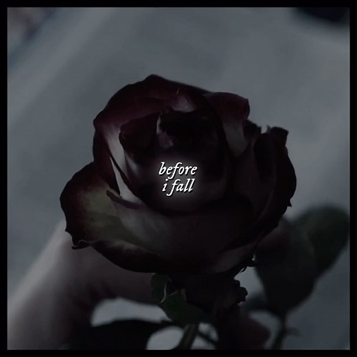 4k scene packs ˙🧷 ̟ !! | ‘before i fall’ scene pack ☁️⋆˙⊹ ☆‧₊ 1080p | 16:00 | 525.3mb ☆‧₊ — ❛ payhip link: https://payhip.com/b/vn01o ❜ ❛ youtube link:... | Instagram