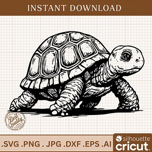 Turtle Svg, Turtle Png, Tortoise Clipart, Reptile Svg, Pet Svg, Animal Clipart, Turtle Silhouette, Turtle Vector, Cricut Silhouette - Etsy Canada
