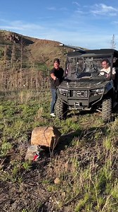 Tree stump pulling with a tree stump | Architect X